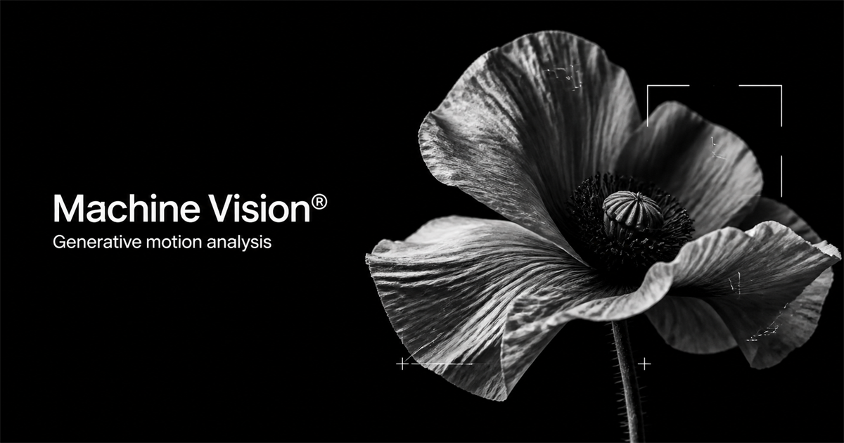 Machine Vision：视频分析被收成能玩的仪