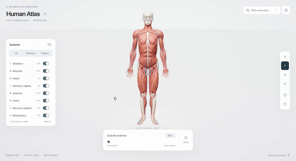 Human Atlas 把人体逐层拆开看