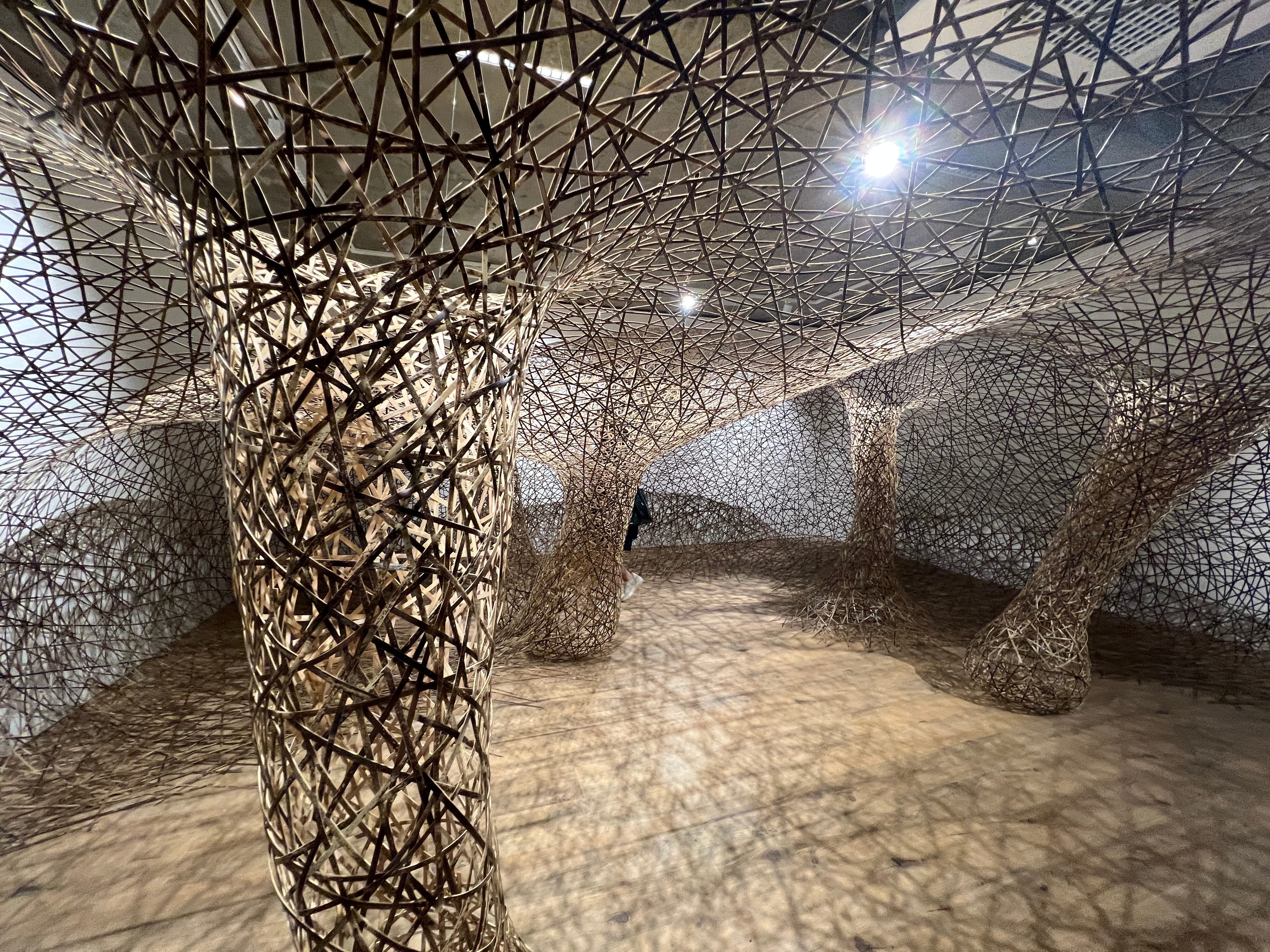 七千片竹条在展厅里长成森林